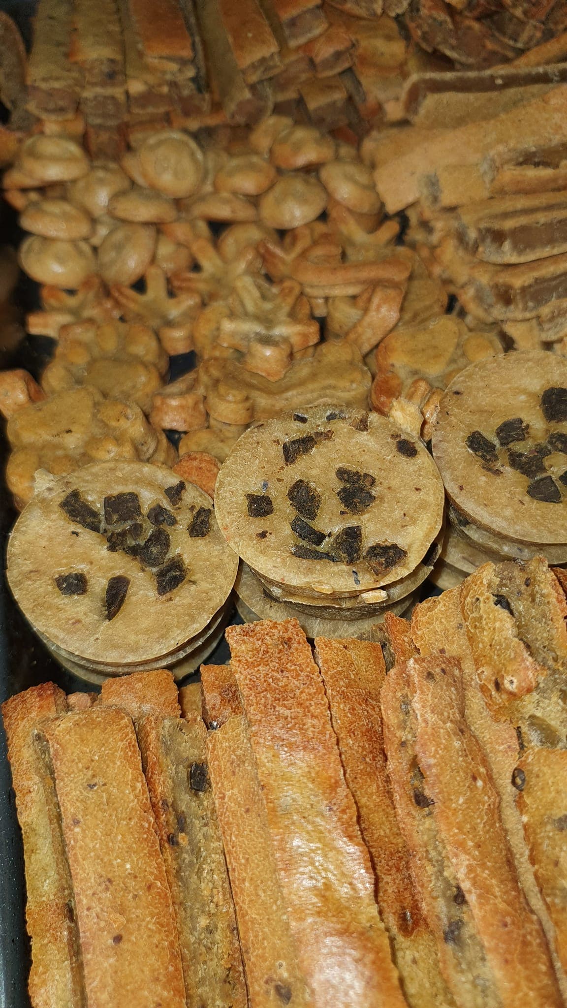Dog's Breakfast Cookies 2