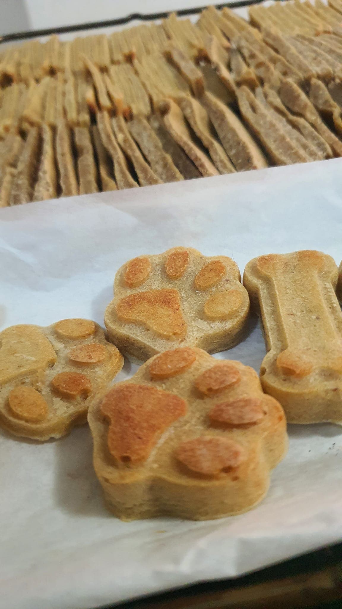 Shaped Treat 3