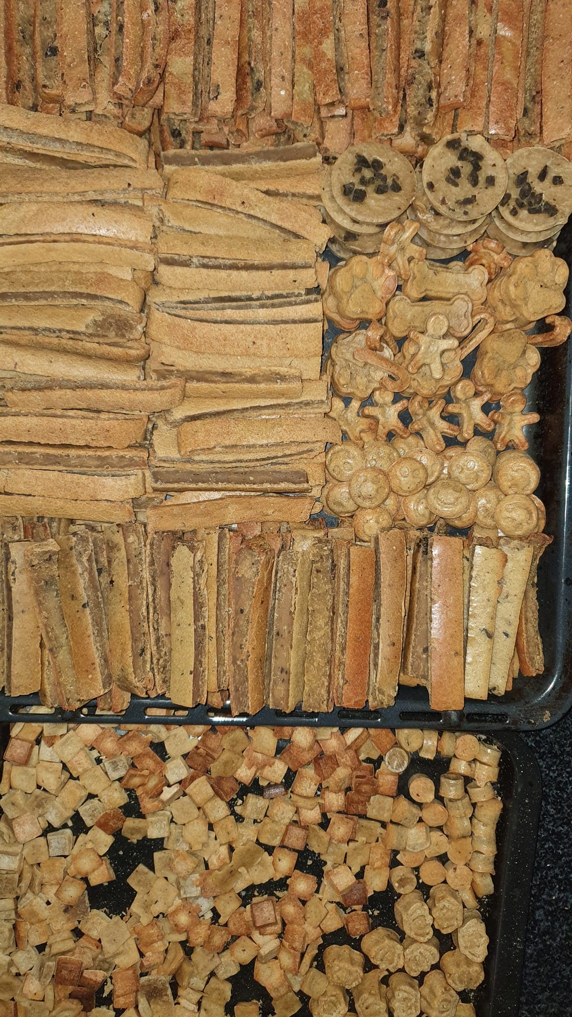 Tuna & Sardine Sticks 6